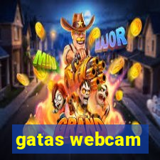 gatas webcam