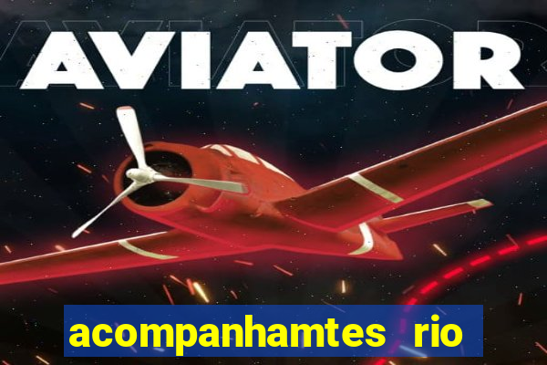 acompanhamtes rio de janeiro