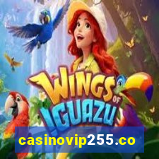 casinovip255.com