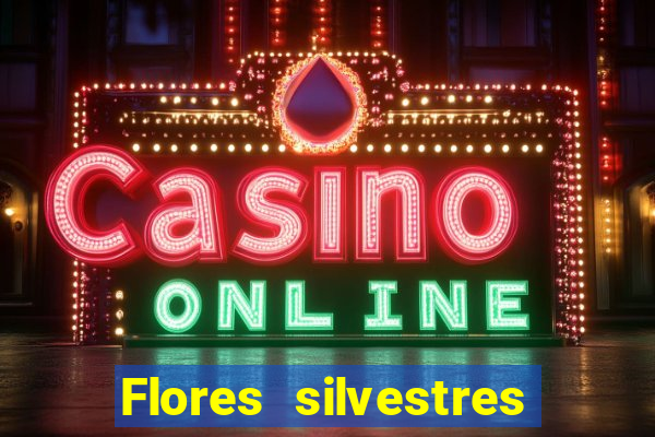 Flores silvestres brasileiras brasileiras flores silvestres nomes e imagens