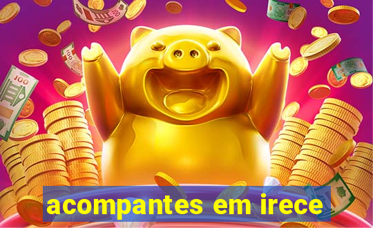 acompantes em irece