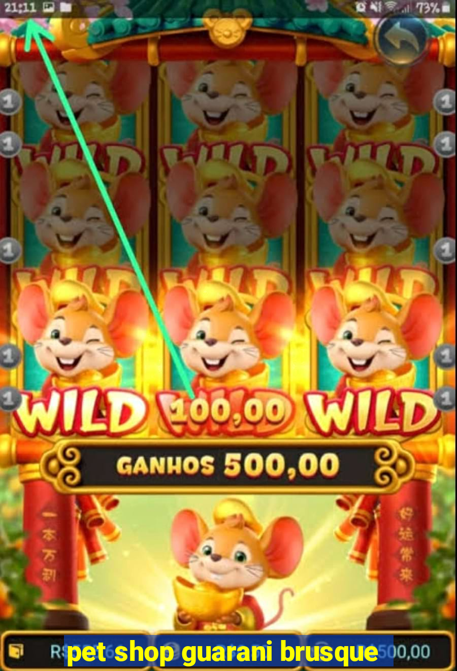 pet shop guarani brusque