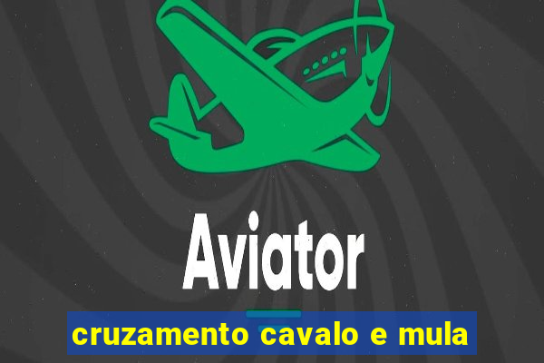 cruzamento cavalo e mula