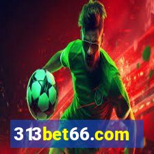 313bet66.com