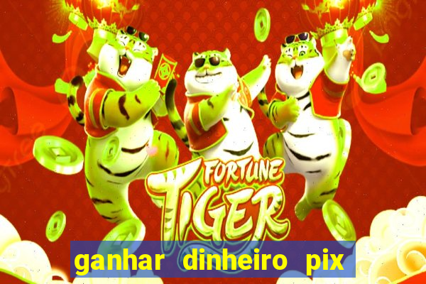 ganhar dinheiro pix de verdade bingo
