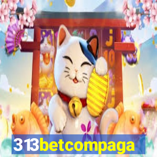 313betcompaga