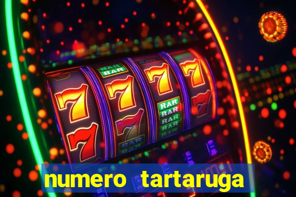 numero tartaruga jogo do bicho