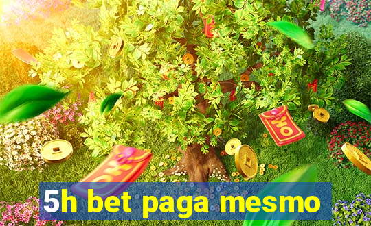 5h bet paga mesmo