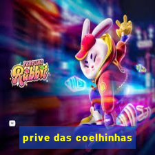 prive das coelhinhas