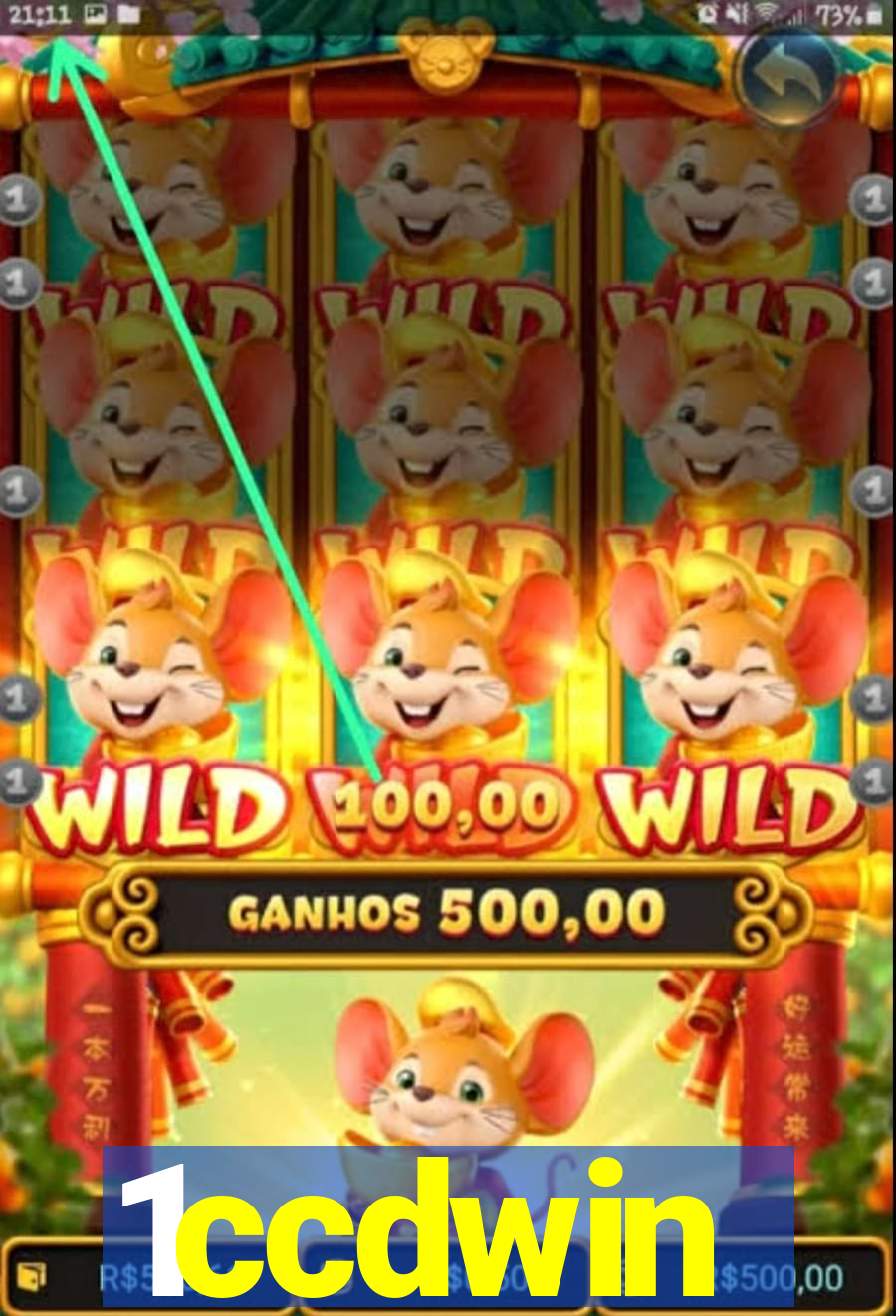 1ccdwin