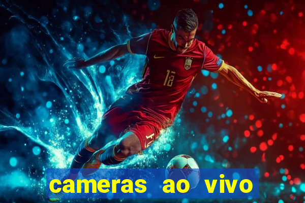cameras ao vivo beto carrero