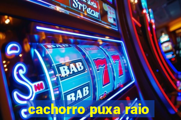 cachorro puxa raio
