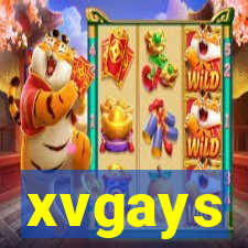 xvgays
