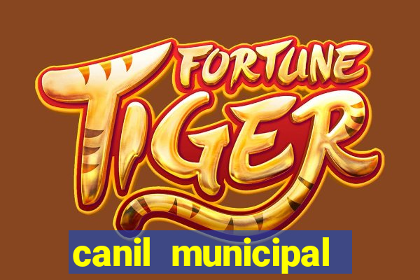 canil municipal porto alegre