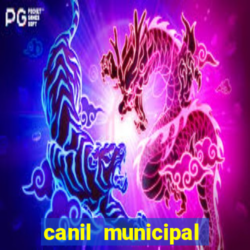 canil municipal porto alegre