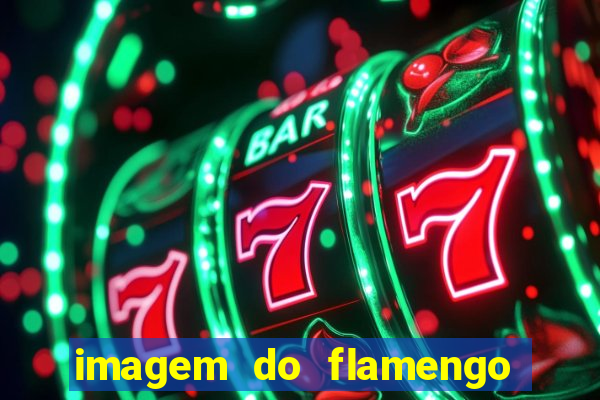 imagem do flamengo para perfil