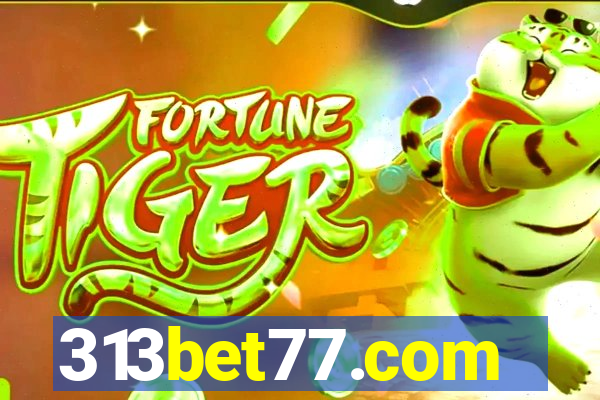 313bet77.com