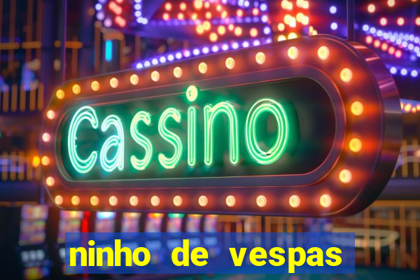 ninho de vespas significado espiritual