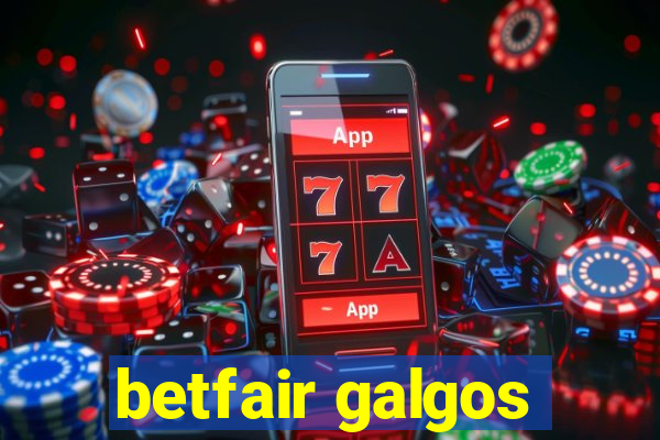 betfair galgos