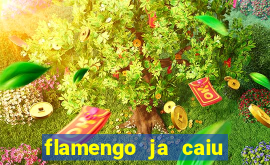 flamengo ja caiu para serie b