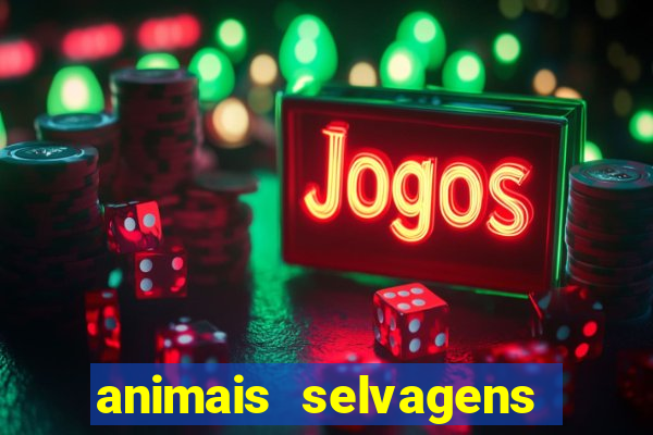 animais selvagens fotos e nomes