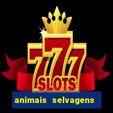 animais selvagens fotos e nomes
