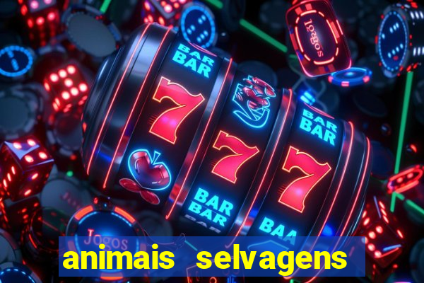 animais selvagens fotos e nomes