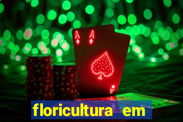 floricultura em franca sp