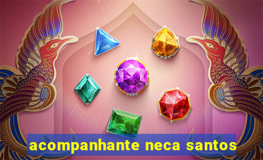 acompanhante neca santos