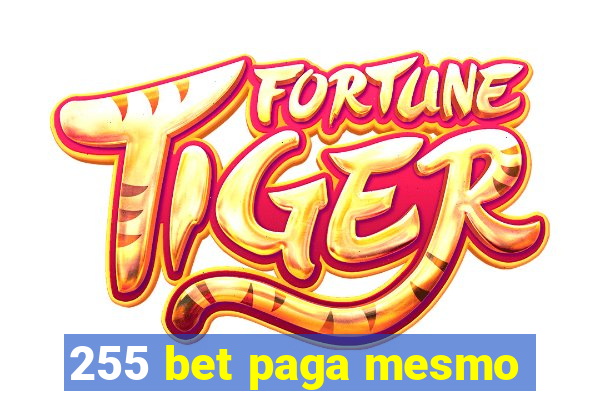 255 bet paga mesmo