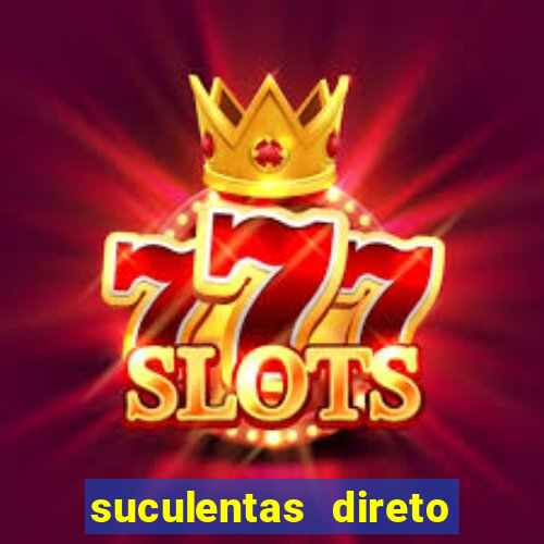 suculentas direto do produtor rs