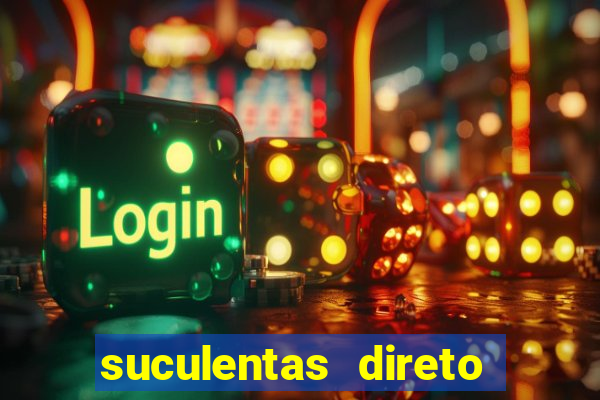 suculentas direto do produtor rs