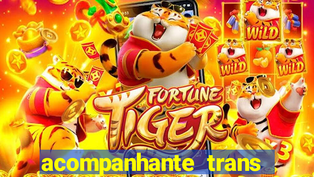 acompanhante trans de santos
