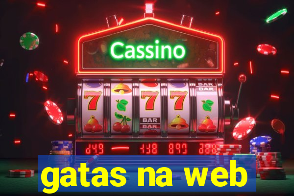 gatas na web