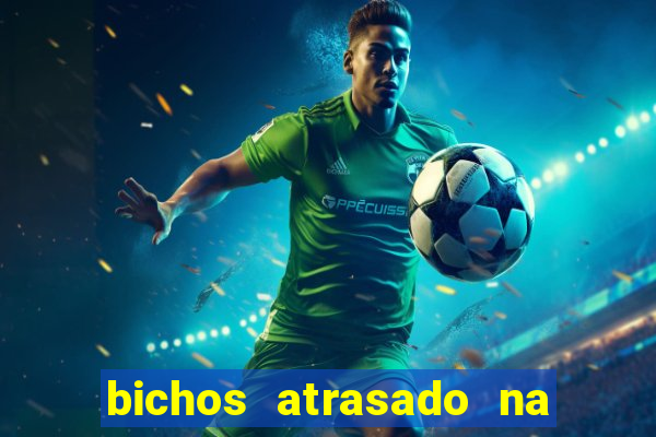 bichos atrasado na loteria dos sonhos