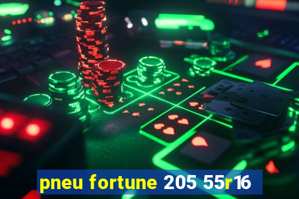 pneu fortune 205 55r16