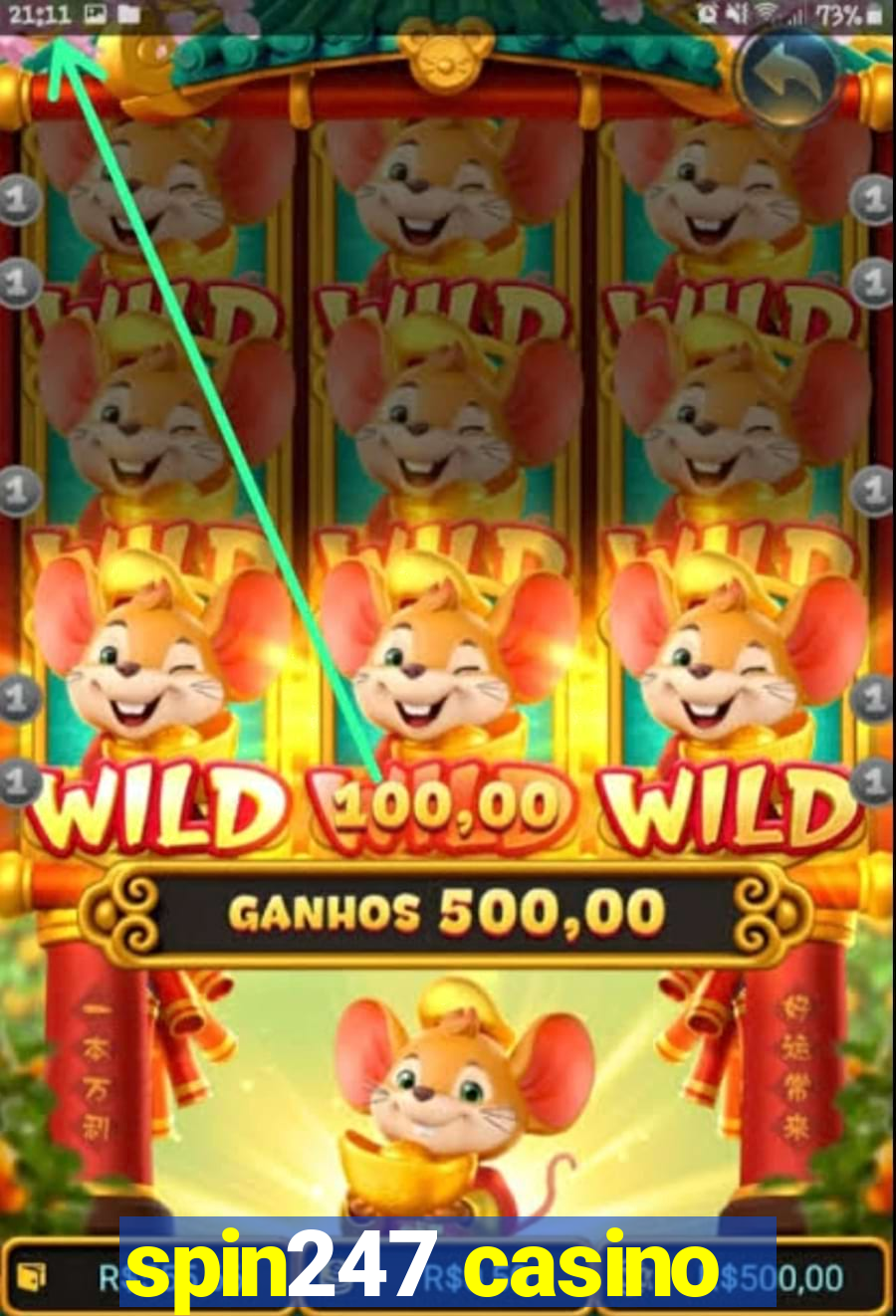 spin247 casino