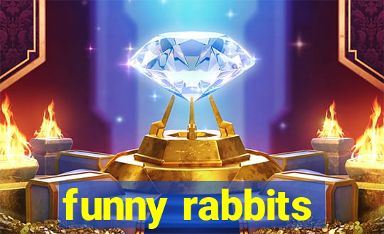 funny rabbits