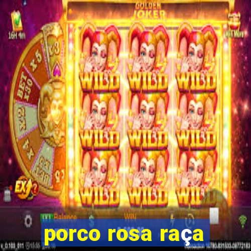 porco rosa raça