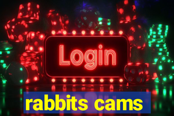 rabbits cams