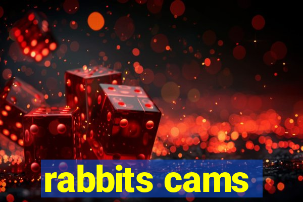 rabbits cams