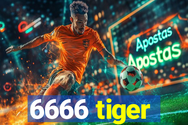 6666 tiger