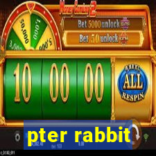 pter rabbit