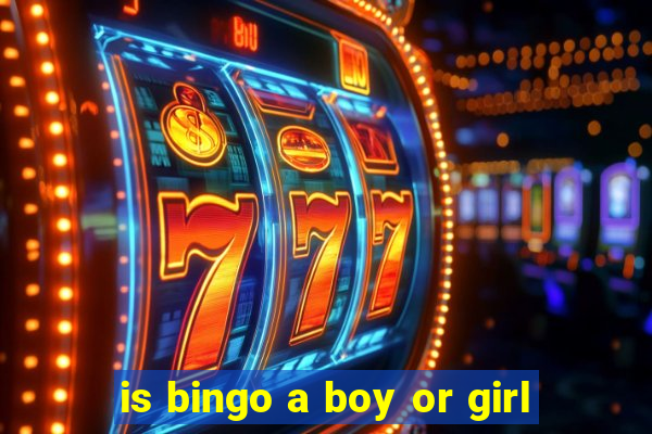 is bingo a boy or girl