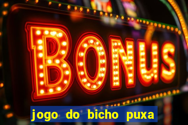 jogo do bicho puxa de dona maria