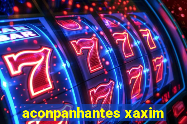 aconpanhantes xaxim