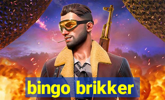 bingo brikker