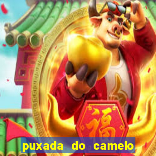 puxada do camelo no jogo do bicho