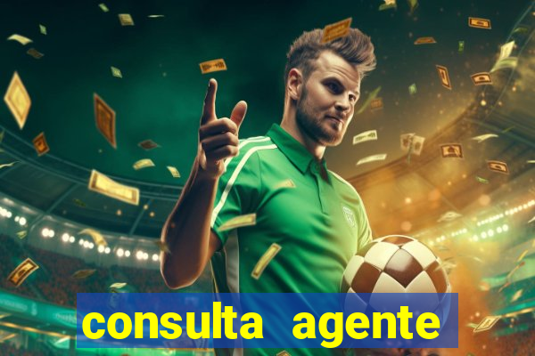 consulta agente autuador sp