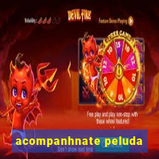 acompanhnate peluda